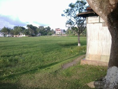 Photos of Nandina M.H.K. Government Pilot High School