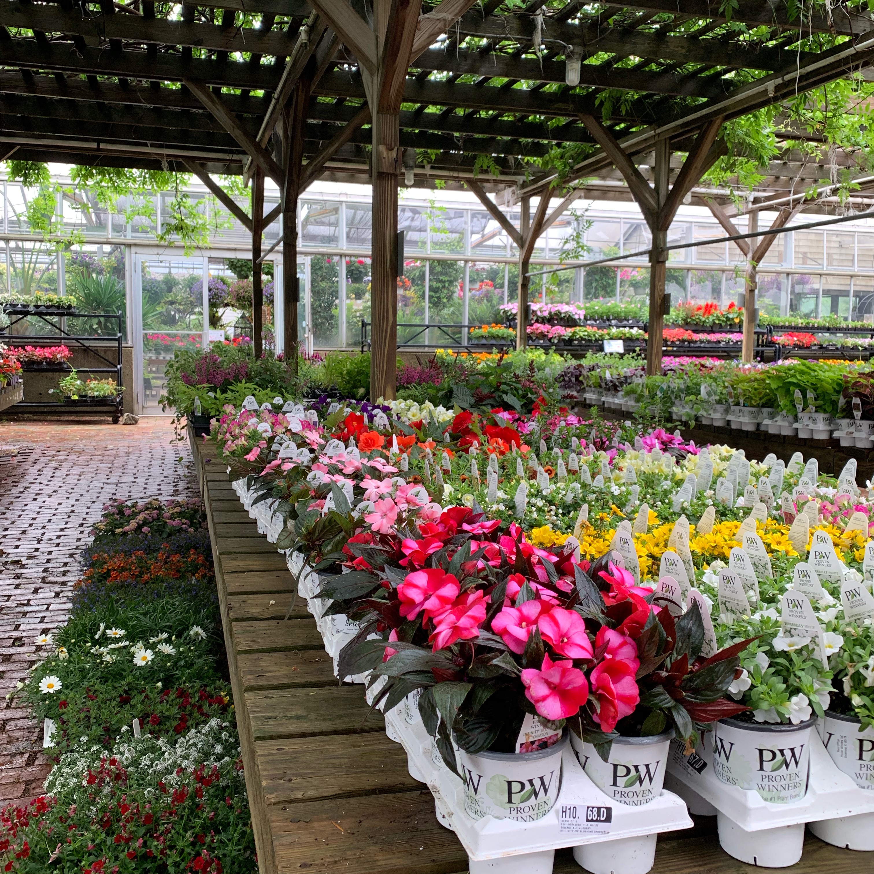 Tomasi Nurseries LLC.