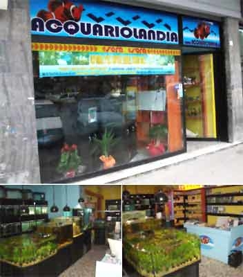 Acquariolandia - Visual