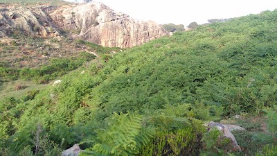 Photos of auberge hjar nnhal