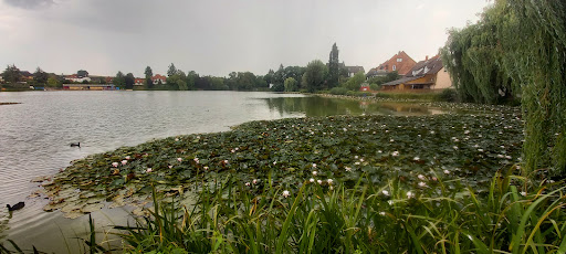 Große Hansa-Wiese - Thumbnail