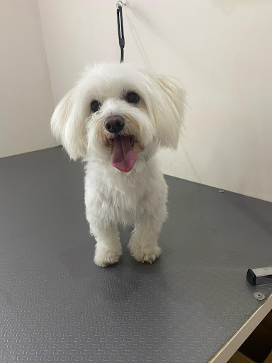 Clínica Veterinaria San José