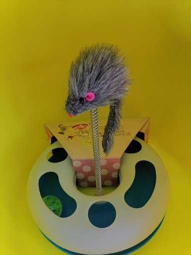 CLINICA VETERINARIA "EMISGO" - Thumbnail