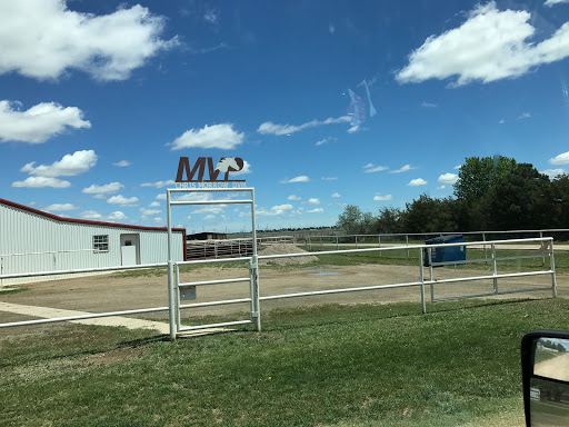 Mobile Veterinary Practice - Visual