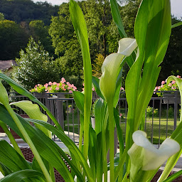 Photo n°18 de Villa Les Roses à Sainte-Menehould (Chambre d'hôtes)