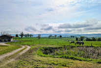 EARL BRIVET (La Ferme du Val d'Arconce) à Poisson