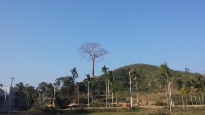 Photos of CoxMC Male Hostel