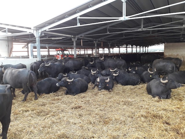 Farm Magazzè