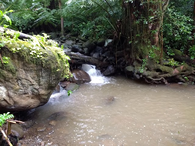 Chutes de Manoa