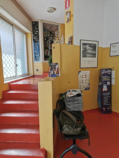 Clivet Veterinary Clinic Vomero - Thumbnail