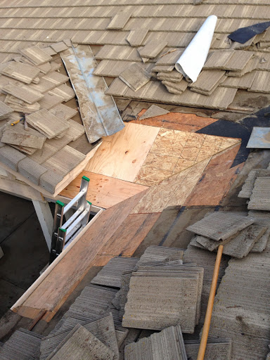 Rescue Roofer - Thumbnail