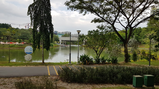 Therapeutic Garden @ Punggol Waterway Park - Thumbnail