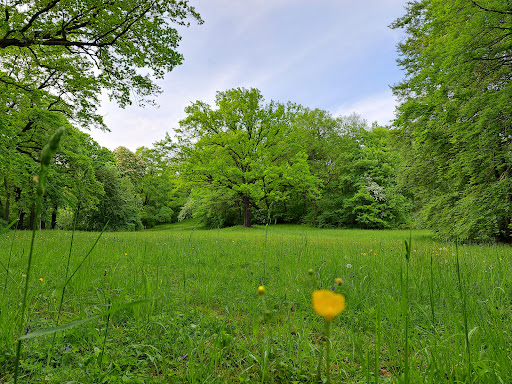 Parktheater Plauen - Thumbnail