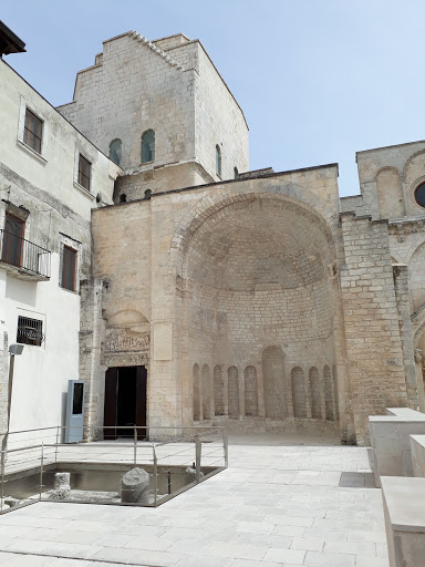 Musei Tecum - Visual