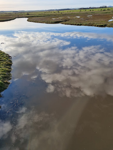 Seahouses - Visual