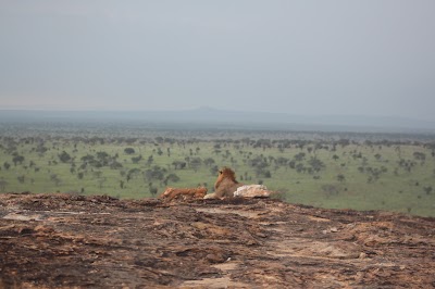 Photos of Lions Bluff Lodge