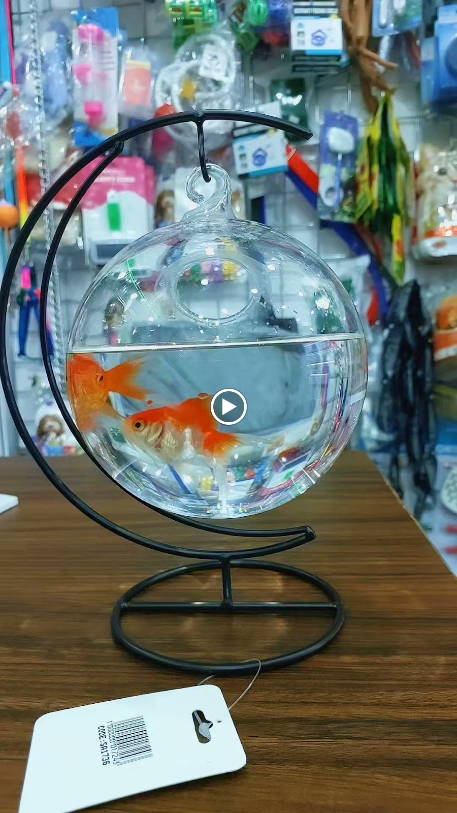 Al Najah Birds & Fish - صورة 3