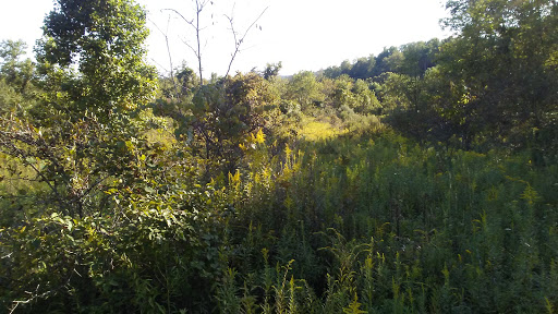 Little Indian Creek Wildlife Management Area - Thumbnail