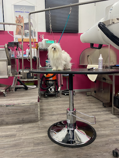 Pet Line