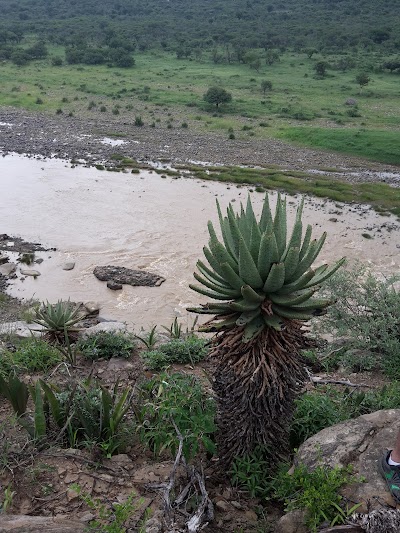 Photos of Zingela Safari and River Company