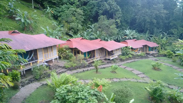 Place around image