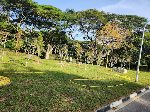 East Coast Park Service Road Bypass - Thumbnail