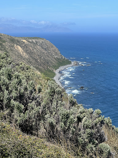 Go Mana - New Zealand