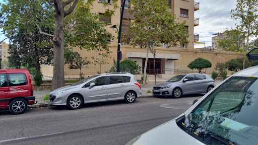 Pedro Iii / Asín y Palacios