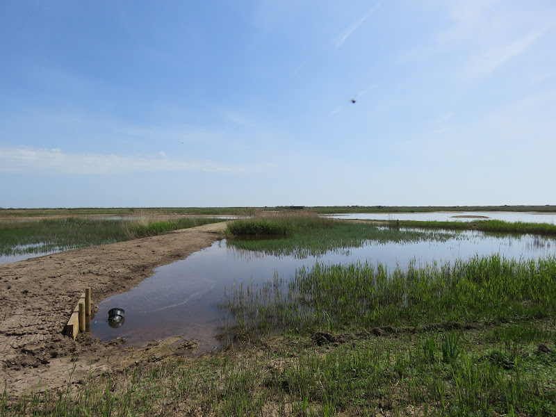 RSPB Minsmere Cafe — photo