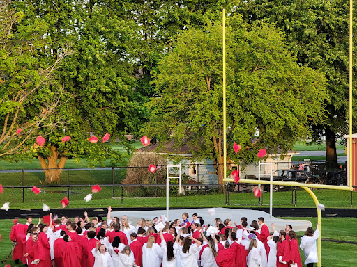 Robinson Field - Visual