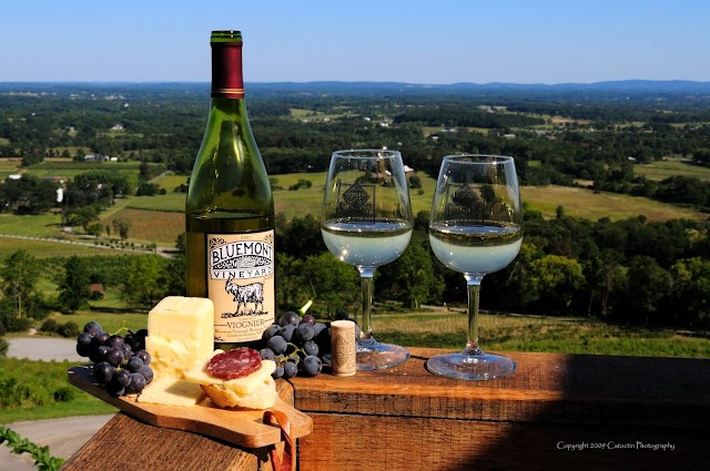 Bluemont Vineyard