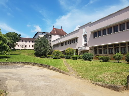 Faculty of Arts (කලා පීඨය), Author: Ayesh Dumindu