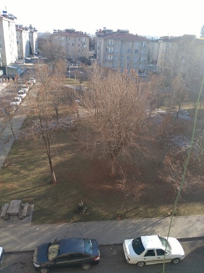 Photos of Playground and Recreation