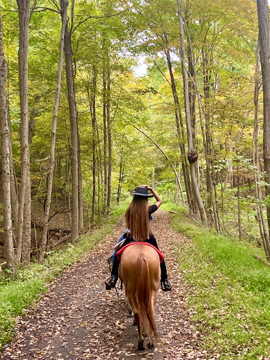 Top View Riding Ranch - United States