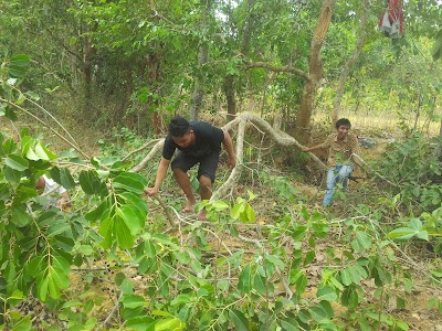 Photos of Hutan Pamaroh