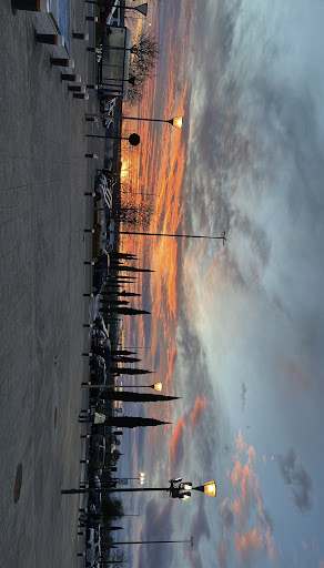 Gallery image 10