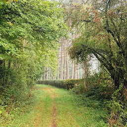 Photo n°19 de Ferme Equestre et chambres d'hôtes Gateau Stables près Guédelon à Saint-Amand-en-Puisaye (Logement indépendant avec services)