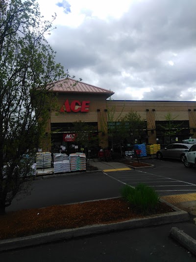 Ace Hardware & Paint