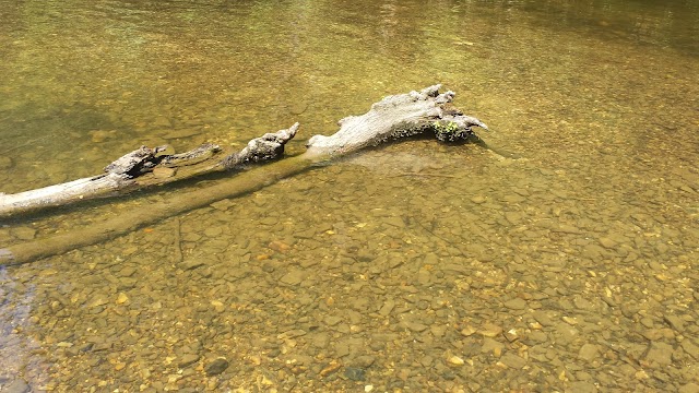 Lake Catherine State Park
