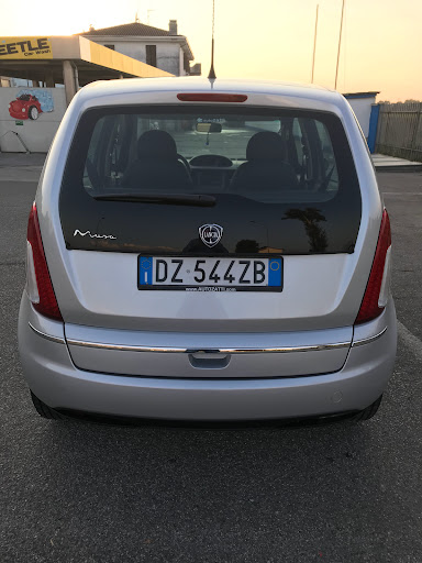 New Beetle - Visual