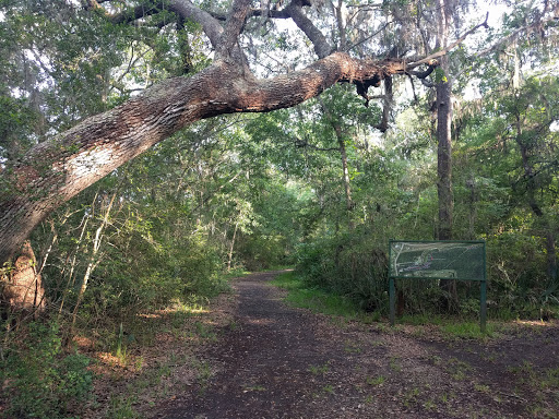 Wilderness Park - Visual