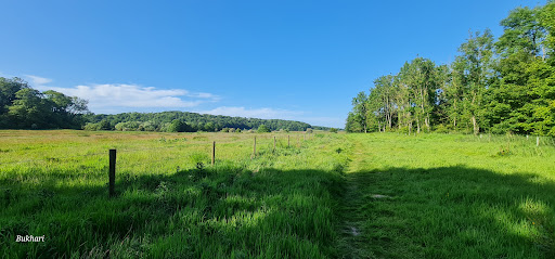 Brockholes Parking Gallery - United Kingdom