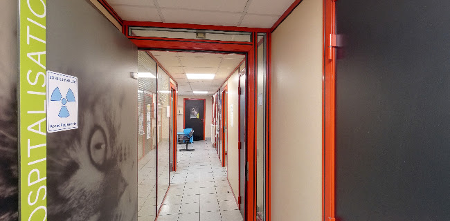 Clinique Vétérinaire Argos - Vétérinaire