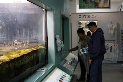 Smithsonian Marine Ecosystems Exhibit