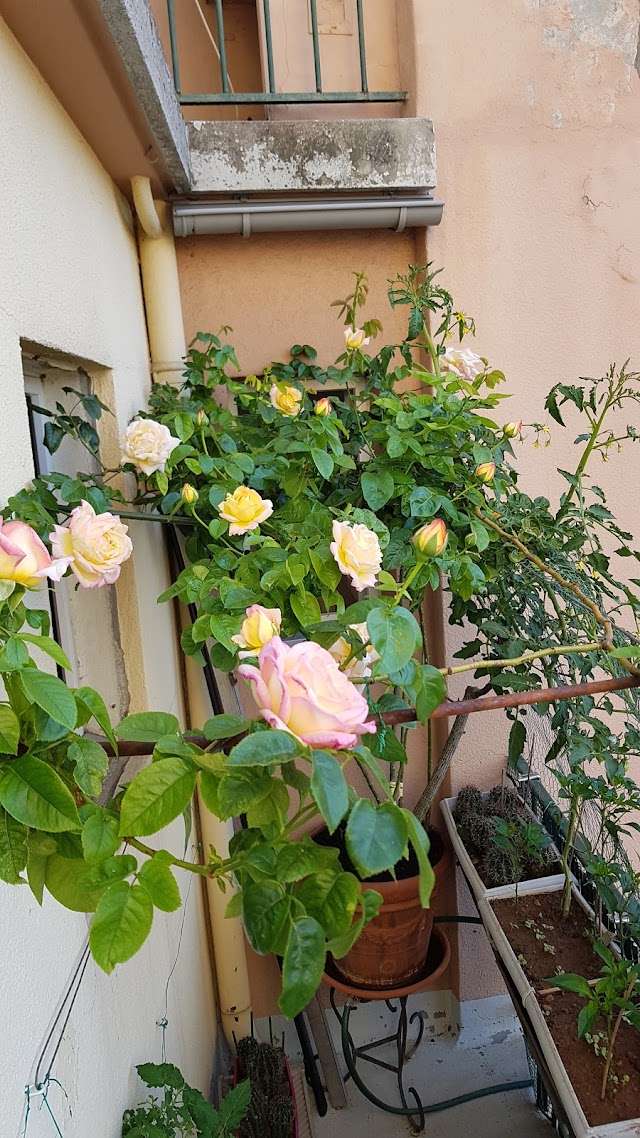 Centre Nautique de l'Espace Bernard Pellarin