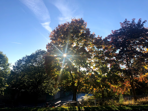 Park Vale Academy - Thumbnail