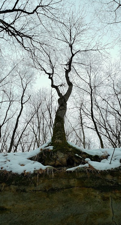 Valley of the ice