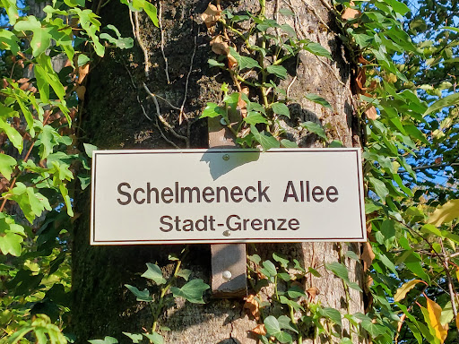 Schelmeneck-Parkplatz - Thumbnail