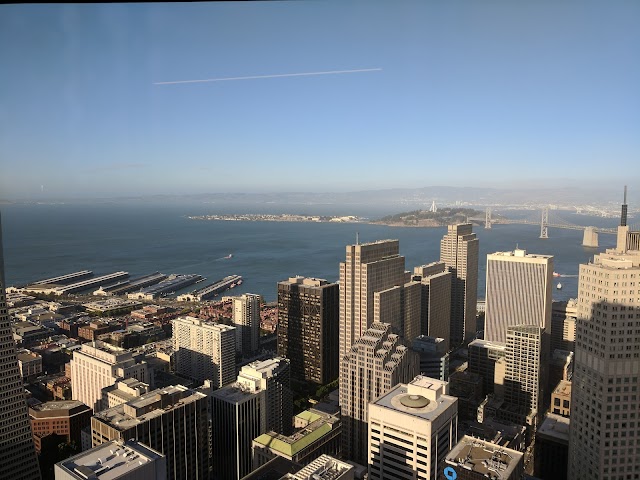 McKinsey & Company Inc