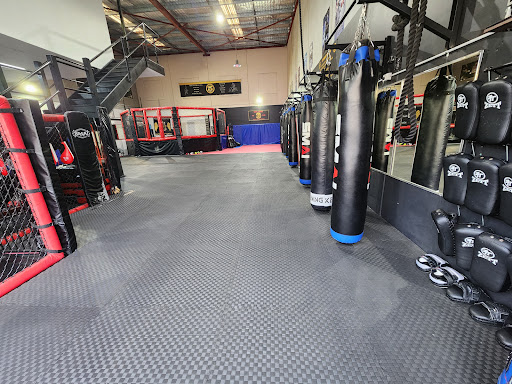 PMA Mixed Martial Arts - Thumbnail
